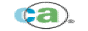 Computer Associates